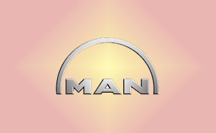 ✓ MAN N2.98180.0132 Запчасти МАН (MAN) 